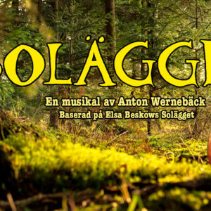 SOLÄGGET
